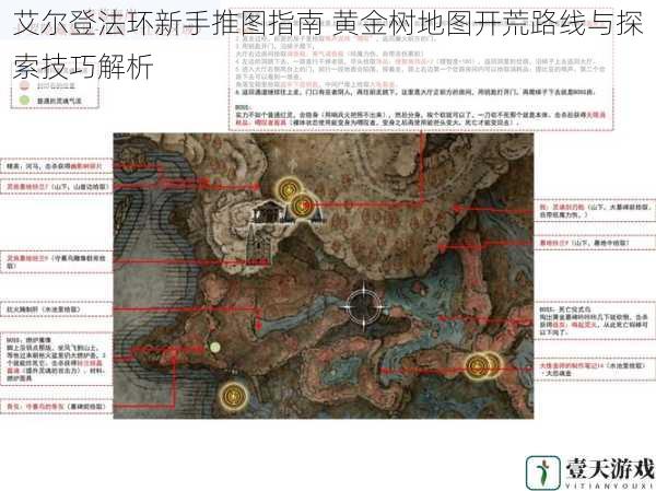 艾尔登法环新手推图指南 黄金树地图开荒路线与探索技巧解析