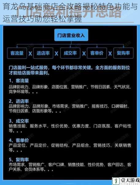 育龙岛基础商店全攻略揭秘特色功能与运营技巧助您轻松掌握