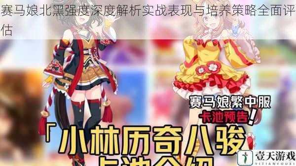 赛马娘北黑强度深度解析实战表现与培养策略全面评估