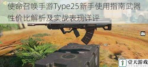 使命召唤手游Type25新手使用指南武器性价比解析及实战表现详评