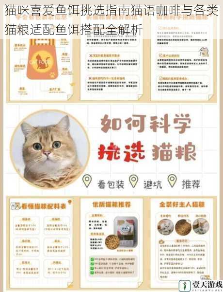 猫咪喜爱鱼饵挑选指南猫语咖啡与各类猫粮适配鱼饵搭配全解析