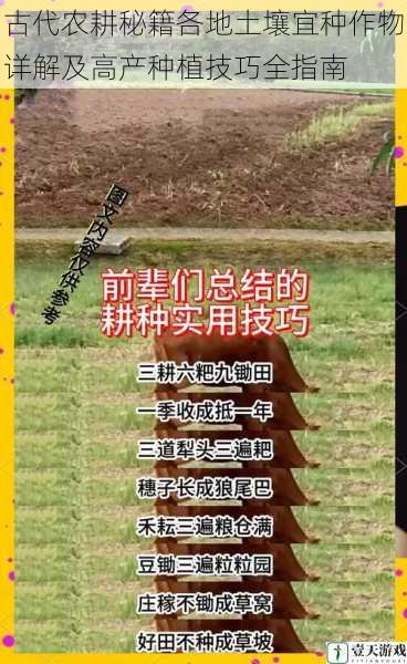 古代农耕秘籍各地土壤宜种作物详解及高产种植技巧全指南