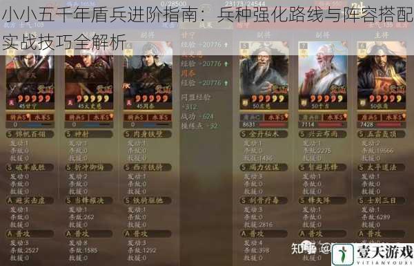 小小五千年盾兵进阶指南:兵种强化路线与阵容搭配实战技巧全解析