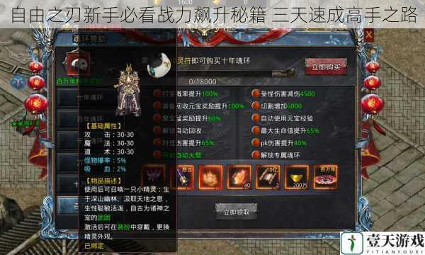 自由之刃新手必看战力飙升秘籍 三天速成高手之路