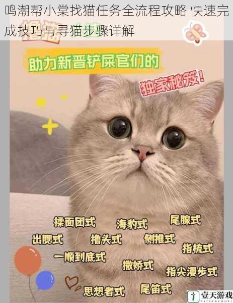 鸣潮帮小棠找猫任务全流程攻略 快速完成技巧与寻猫步骤详解