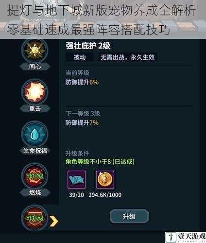 提灯与地下城新版宠物养成全解析 零基础速成最强阵容搭配技巧