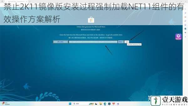禁止2K11镜像版安装过程强制加载NET11组件的有效操作方案解析