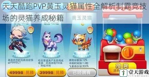 天天酷跑PVP黄玉灵猫属性全解析制霸竞技场的灵猫养成秘籍