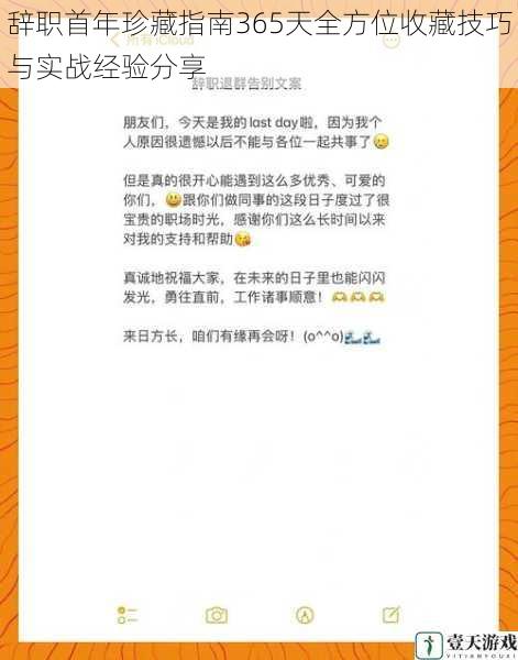 辞职首年珍藏指南365天全方位收藏技巧与实战经验分享
