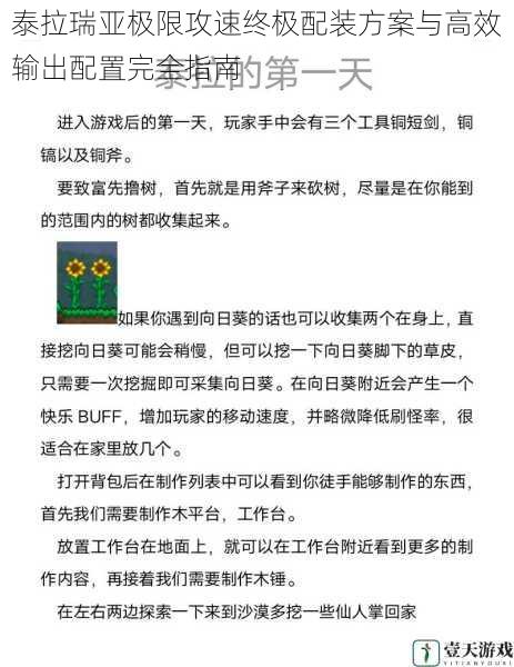 泰拉瑞亚极限攻速终极配装方案与高效输出配置完全指南