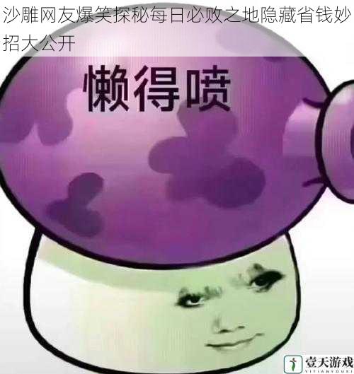 沙雕网友爆笑探秘每日必败之地隐藏省钱妙招大公开