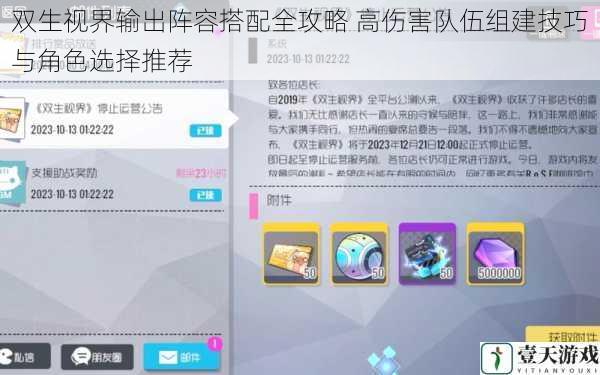双生视界输出阵容搭配全攻略 高伤害队伍组建技巧与角色选择推荐