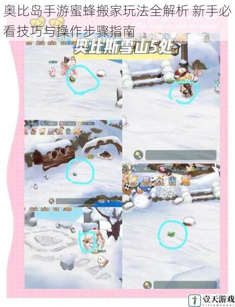 奥比岛手游蜜蜂搬家玩法全解析 新手必看技巧与操作步骤指南