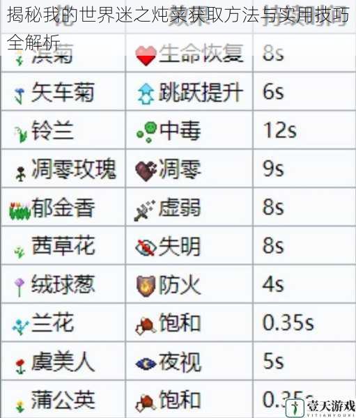 揭秘我的世界迷之炖菜获取方法与实用技巧全解析