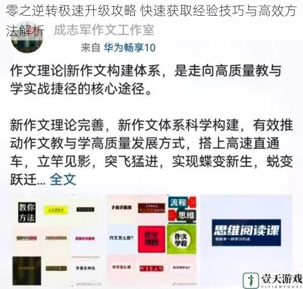 零之逆转极速升级攻略 快速获取经验技巧与高效方法解析