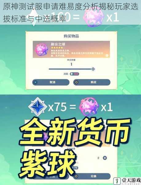 原神测试服申请难易度分析揭秘玩家选拔标准与中选概率