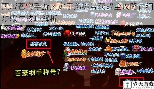 天域苍穹手游风家子弟称号获取全攻略详细步骤与技巧解析