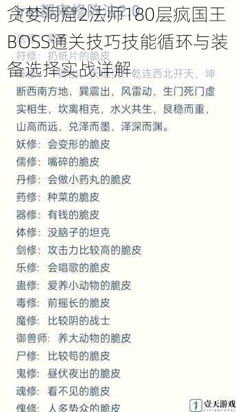 贪婪洞窟2法师180层疯国王BOSS通关技巧技能循环与装备选择实战详解