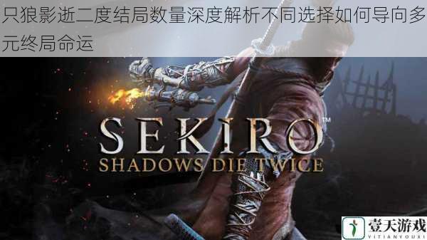 只狼影逝二度结局数量深度解析不同选择如何导向多元终局命运